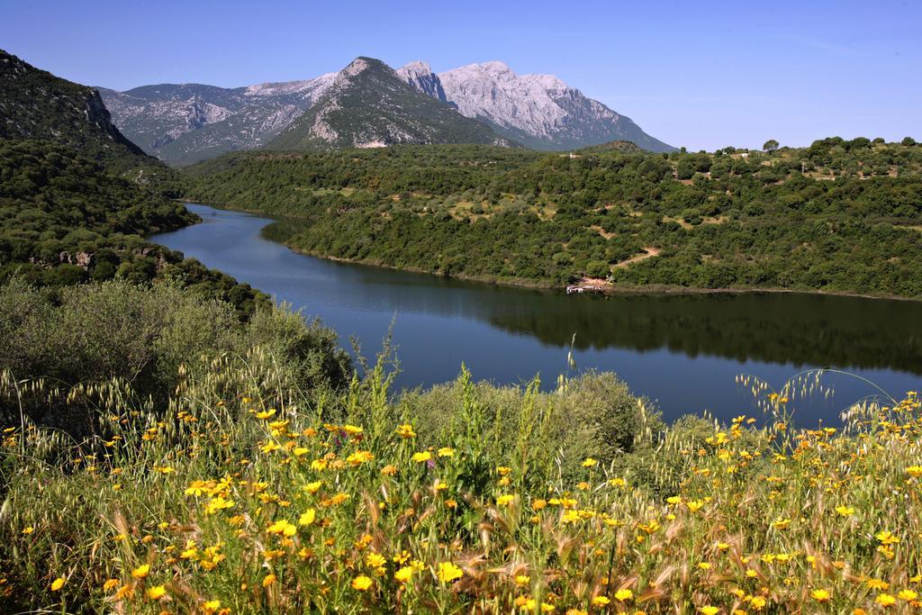 Casa Kianna Βίλα Dorgali Εξωτερικό φωτογραφία