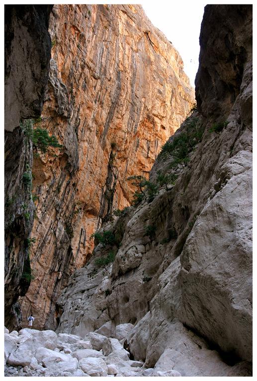 Casa Kianna Βίλα Dorgali Εξωτερικό φωτογραφία